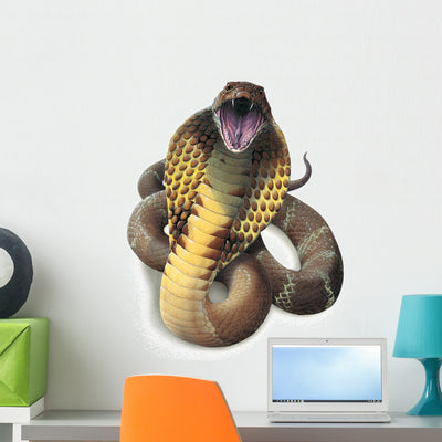 King Cobra Snake Wall Decal shown on a wall