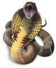 King Cobra Snake Wall Decal
