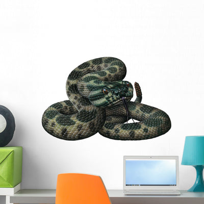 Massassauga Rattlesnake Snake Wall Decal shown on a wall