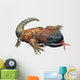Mexican Beaded Lizard Wall Decal