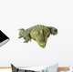 Reptile Decals - Nile Crocodile Wall Decal