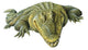 Reptile Decals - Nile Crocodile Wall Decal
