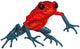 Poison-Dart Frog Wall Decal