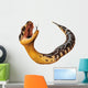 Puff Adder Snake Bitis Arietans Wall Decal