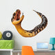 Puff Adder Snake Bitis Arietans Wall Decal