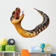 Puff Adder Snake Bitis Arietans Wall Decal
