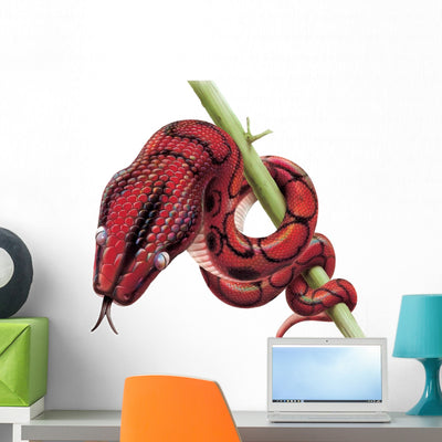 Rainbow Boa Snake Wall Decal shown on a wall
