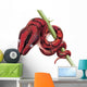Rainbow Boa Snake Wall Decal