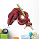 Rainbow Boa Snake Wall Decal