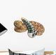 Rattlesnake Wall Decal