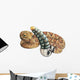 Rattlesnake Wall Decal