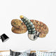 Rattlesnake Wall Decal