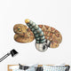 Rattlesnake Wall Decal