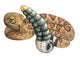 Rattlesnake Wall Decal
