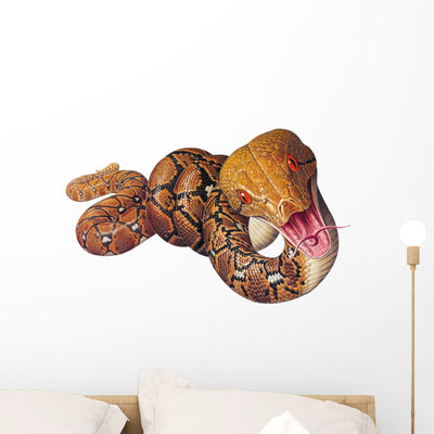 Reticulated Python Snake Wall Decal shown on a wall