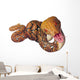 Reticulated Python Snake Wall Decal