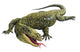 Salvadors Monitor Lizard Wall Decal