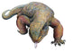 Savannah Monitor Lizard Wall Decal