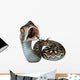Saw-Scaled Viper Snake Wall Decal