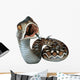 Saw-Scaled Viper Snake Wall Decal