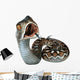 Saw-Scaled Viper Snake Wall Decal