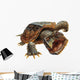Snapping Turtle Wall Decal