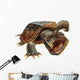 Snapping Turtle Wall Decal