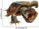 Snapping Turtle Wall Decal