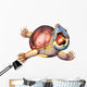 Stinkpot Turtle Wall Decal
