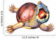 Stinkpot Turtle Wall Decal