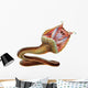 Taipan Snake Wall Decal