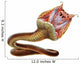Taipan Snake Wall Decal