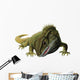 Tuatara Lizard Wall Decal