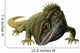 Tuatara Lizard Wall Decal