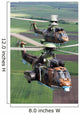 Bulgarian Air Force Eurocopter Wall Decal Design 1