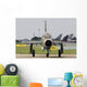 Romanian Air Force Mig-21um Wall Decal