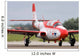 Polish Air Force Ts-11 Wall Decal
