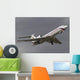 Tupolev Tu-154m Flight over Wall Decal