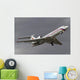 Tupolev Tu-154m Flight over Wall Decal