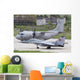 Mig-29 Fulcrum and C-27j Wall Decal