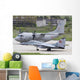 Mig-29 Fulcrum and C-27j Wall Decal