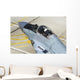 Top Cockpit Bulgarian Air Wall Decal