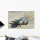 Bulgarian Air Force Mig-21bis Wall Decal Design 2