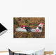 Canadair Cl-215-1a10 Flight over Wall Decal Design 2