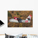 Canadair Cl-215-1a10 Flight over Wall Decal Design 2