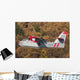 Canadair Cl-215-1a10 Flight over Wall Decal Design 2
