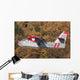 Canadair Cl-215-1a10 Flight over Wall Decal Design 2