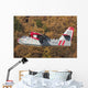 Canadair Cl-215-1a10 Flight over Wall Decal Design 2