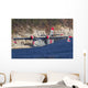 Canadair Cl-215-1a10 Flight over Wall Decal Design 1