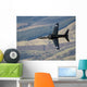 Hawk T1 Trainer Aircraft Wall Decal